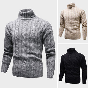 Theodore Willow Seattle Turtleneck Sweater