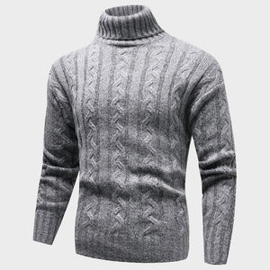 Theodore Willow Seattle Turtleneck Sweater